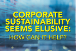 Corporate Sustainability Seems Elusive. How Can It Help?